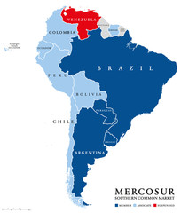 Treinta años del Mercosur: desacople entre la Argentina y Brasil y riesgos para la integración