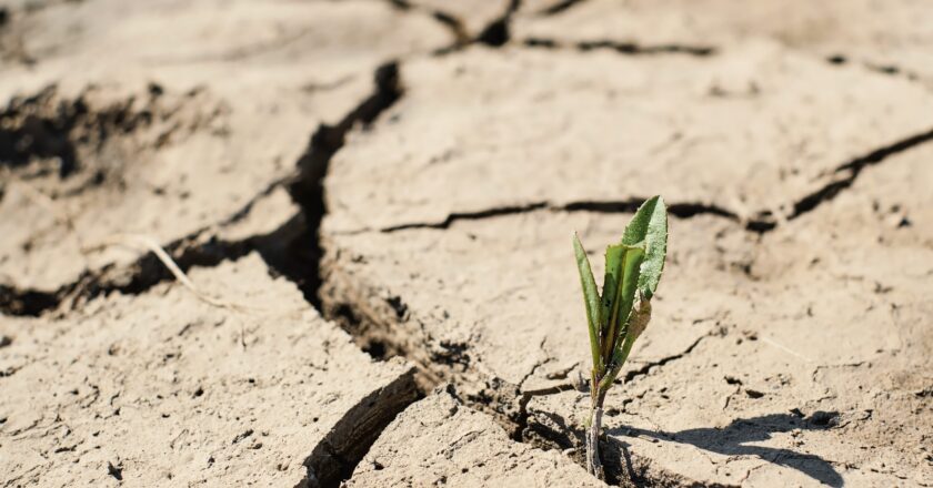 Los “climas” del campo: sequía y mayor riesgo de negocios